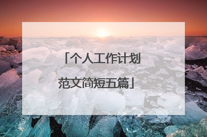 个人工作计划范文简短五篇
