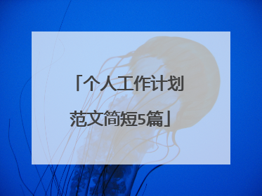 个人工作计划范文简短5篇