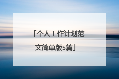 个人工作计划范文简单版5篇