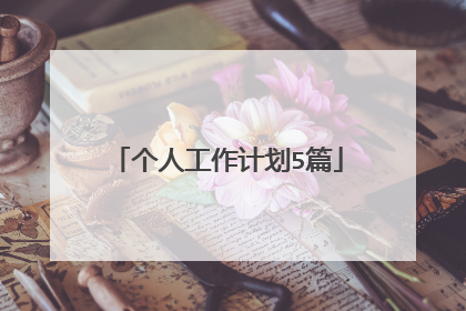 个人工作计划5篇