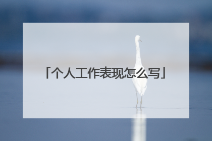个人工作表现怎么写