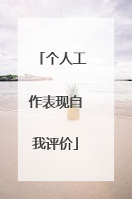 个人工作表现自我评价