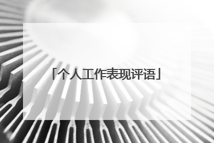 个人工作表现评语
