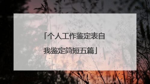 个人工作鉴定表自我鉴定简短五篇