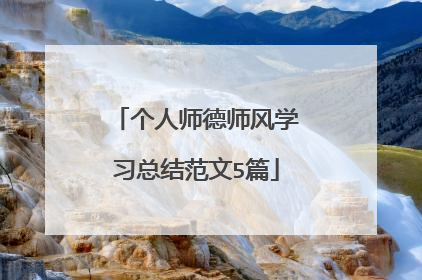 个人师德师风学习总结范文5篇