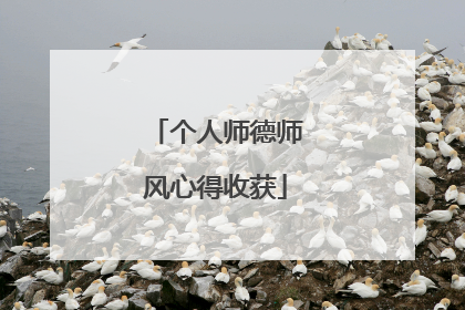 个人师德师风心得收获