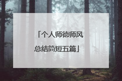 个人师德师风总结简短五篇