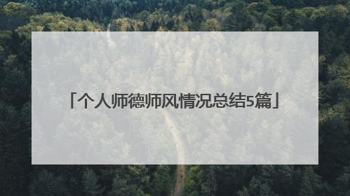 个人师德师风情况总结5篇