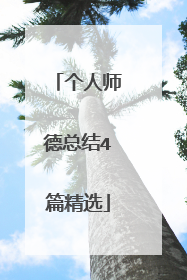 个人师德总结4篇精选