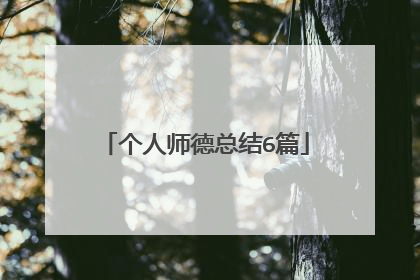 个人师德总结6篇