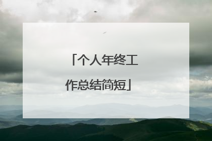 个人年终工作总结简短
