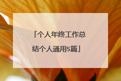 个人年终工作总结个人通用5篇