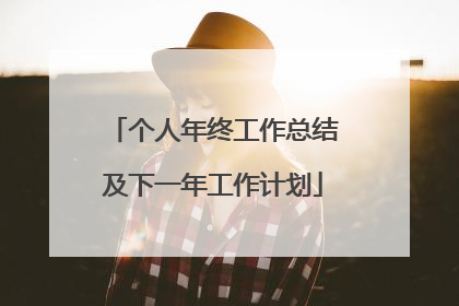 个人年终工作总结及下一年工作计划