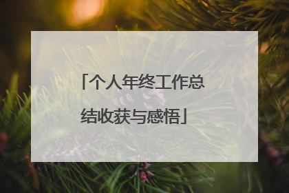 个人年终工作总结收获与感悟