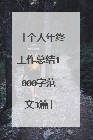 个人年终工作总结1000字范文3篇