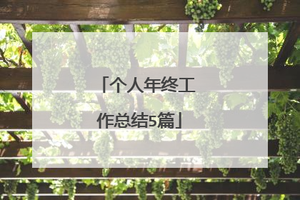个人年终工作总结5篇