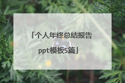 个人年终总结报告ppt模板5篇