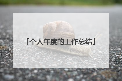 个人年度的工作总结