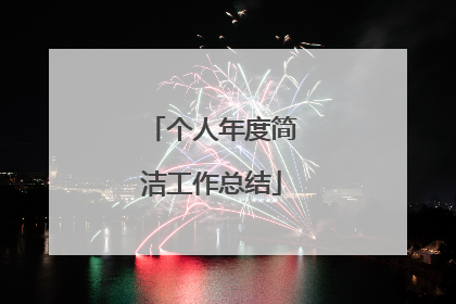 个人年度简洁工作总结