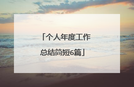 个人年度工作总结简短6篇
