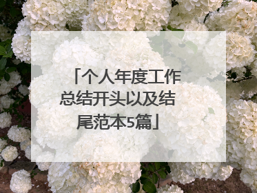 个人年度工作总结开头以及结尾范本5篇