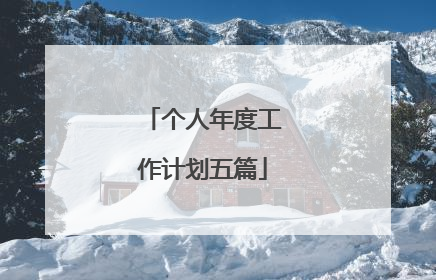 个人年度工作计划五篇