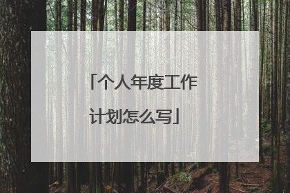 个人年度工作计划怎么写