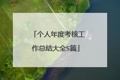 个人年度考核工作总结大全5篇