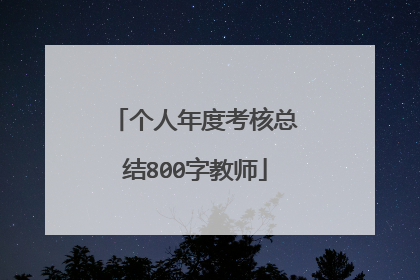 个人年度考核总结800字教师