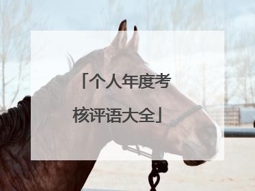 个人年度考核评语大全