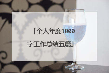 个人年度1000字工作总结五篇