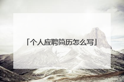 个人应聘简历怎么写