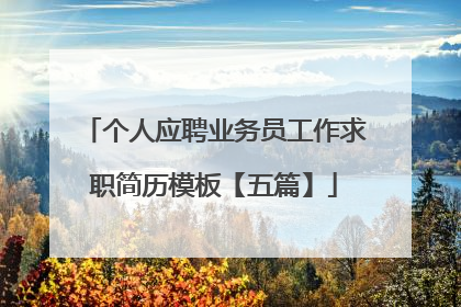 个人应聘业务员工作求职简历模板【五篇】