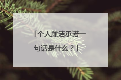 个人廉洁承诺一句话是什么？