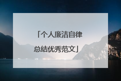 个人廉洁自律总结优秀范文