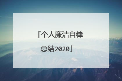 个人廉洁自律总结2020