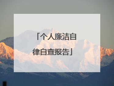 个人廉洁自律自查报告