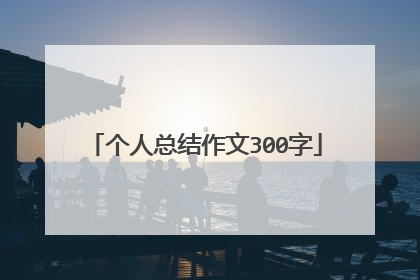 个人总结作文300字