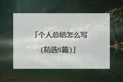 个人总结怎么写(精选5篇)