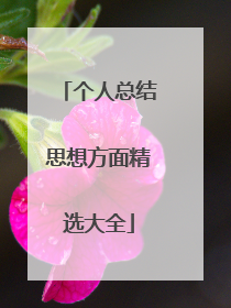 个人总结思想方面精选大全