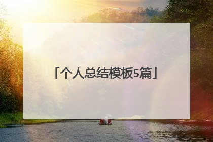 个人总结模板5篇
