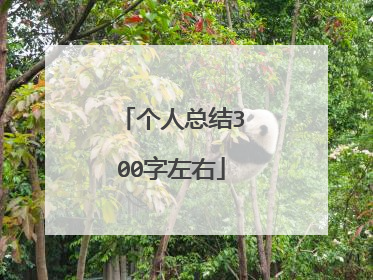 个人总结300字左右