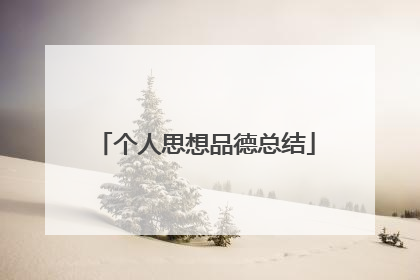 个人思想品德总结
