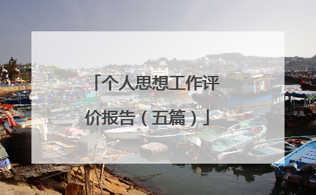 个人思想工作评价报告（五篇）