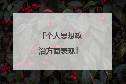 个人思想政治方面表现