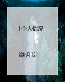 个人情况说明书