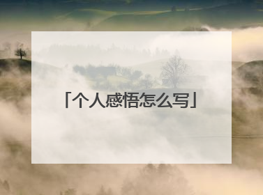 个人感悟怎么写