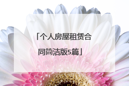 个人房屋租赁合同简洁版5篇