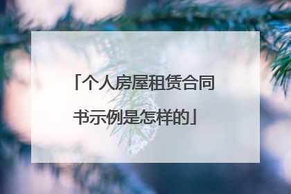 个人房屋租赁合同书示例是怎样的