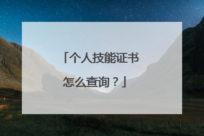 个人技能证书怎么查询？